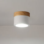 Plafonnier Spot | Wood LED Ceiling Spotlight, Surface Mount Downlight for Hallway, Closet and Living Room