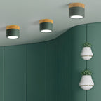 Plafonnier Spot | Wood LED Ceiling Spotlight, Surface Mount Downlight for Hallway, Closet and Living Room