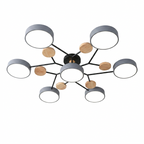 Nova Branch ceiling light on a white background